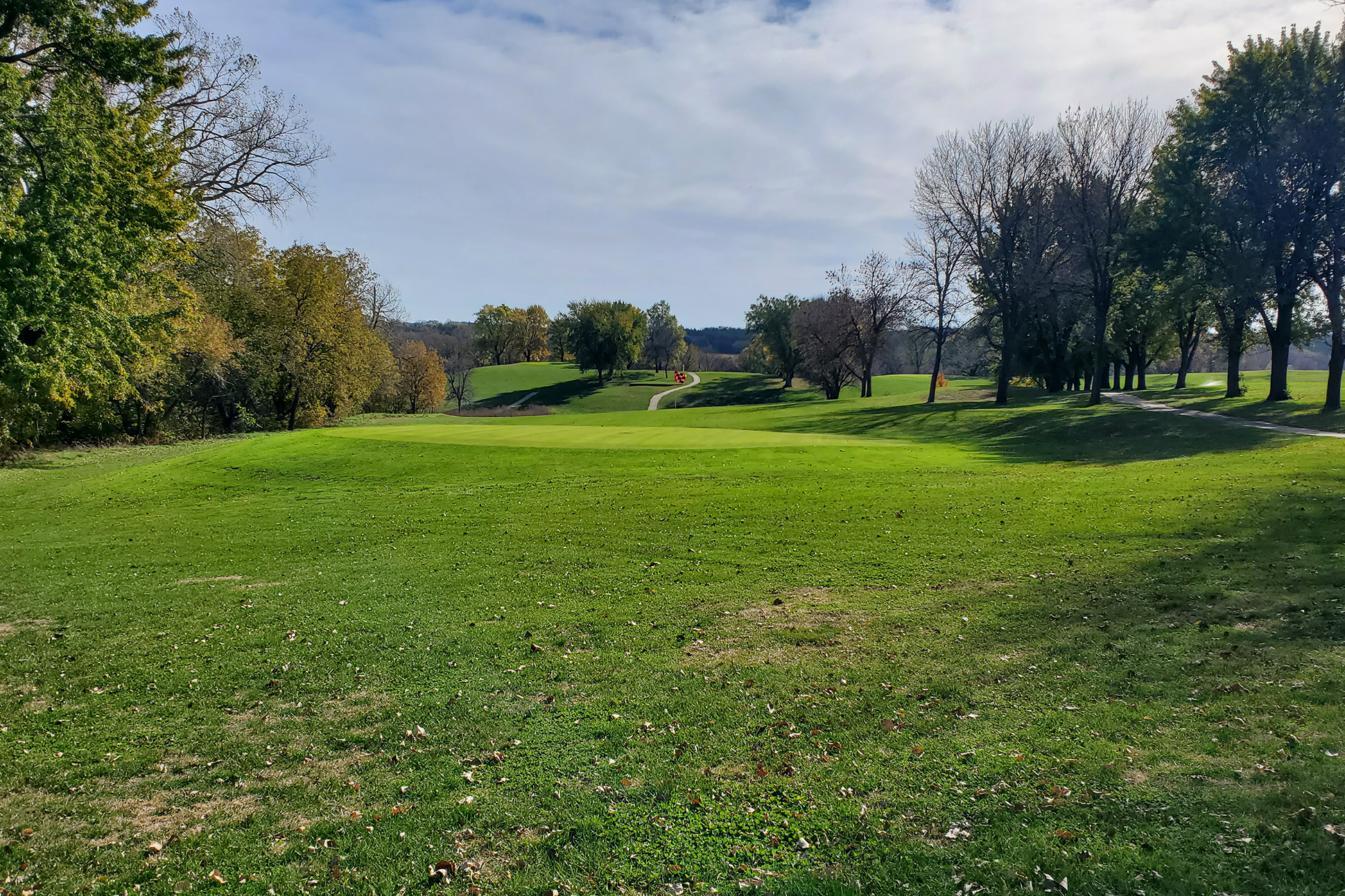 Image of golf ball on tee on grass.